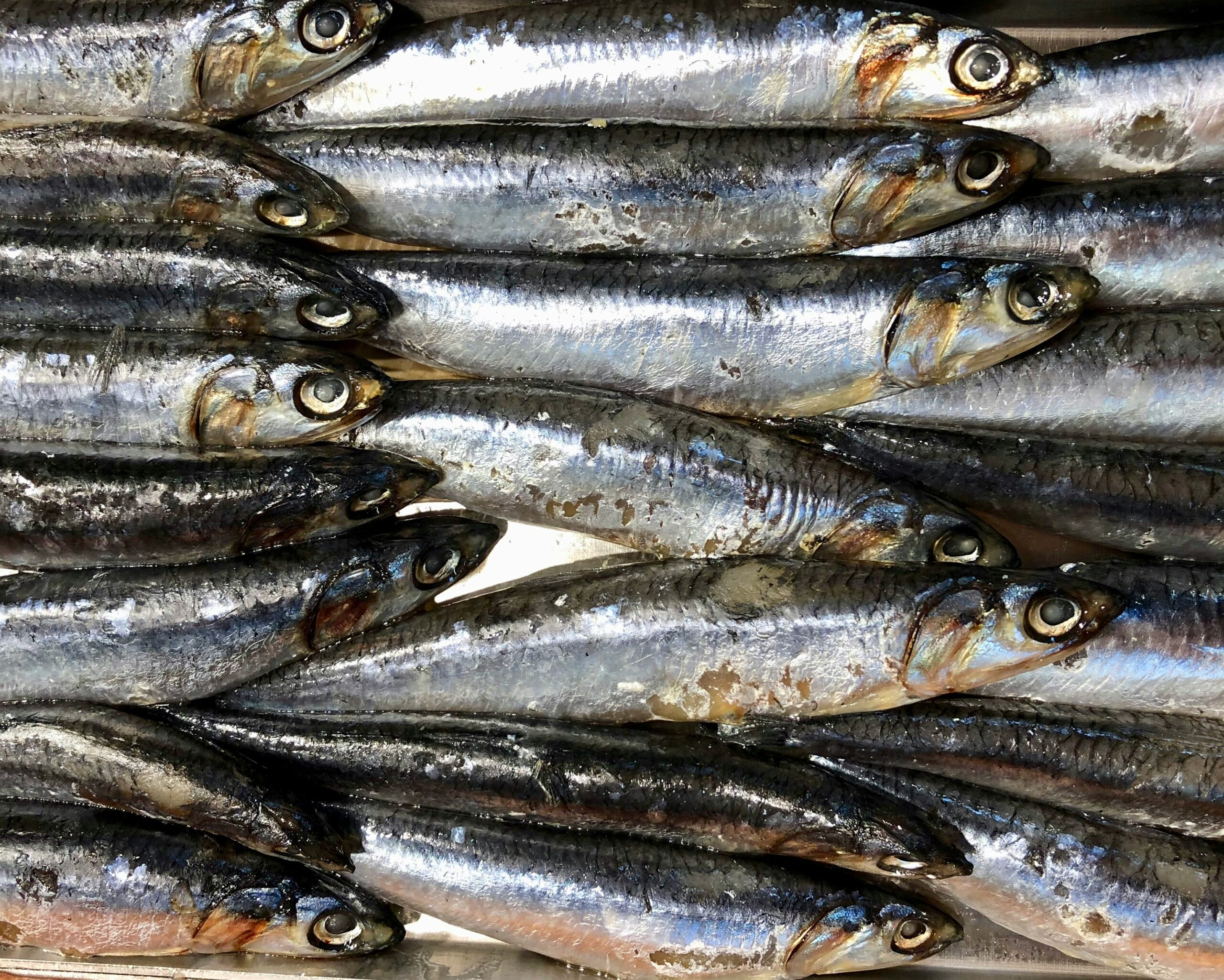 discover the delicious and nutritious sardines - a versatile and sustainable seafood option with a rich history and unique flavor profile.